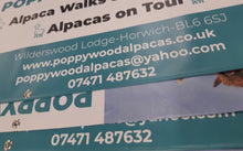 Load image into Gallery viewer, Printed-PVC-Banners