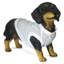 Load image into Gallery viewer, Pet Clothing - Add Your Logo!
